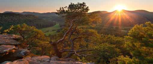 Poetische Landschaftsfotografie: Sagenumwobener Pfälzer Wald - Burgen, Felsen, Waldlandschaften