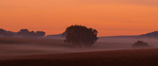 Natur- und Landschaftsfotografie in der Karwendelregion