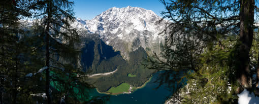 Kreative Naturfotografie und eigene Bildsprache